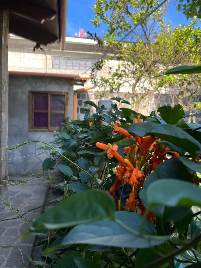Casa Qatzij - Guest House, Lake Atitlan San Lucas Tolimán Eksteriør bilde
